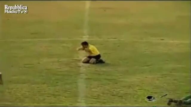 Пчели нападат мач