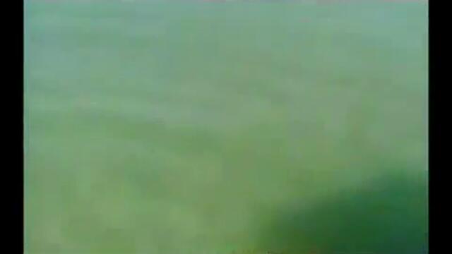 Това не се вижда всеки ден