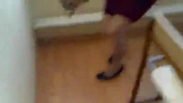 Сова в класната стая - Вапцаров (Ботевград)