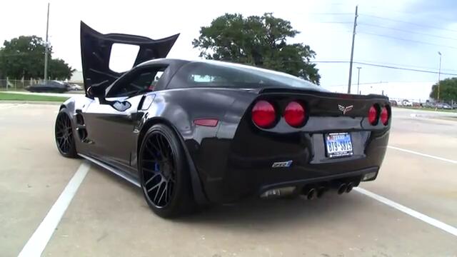 Много луд звук от невероятни колли