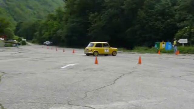 Рали -Добрина- 2009