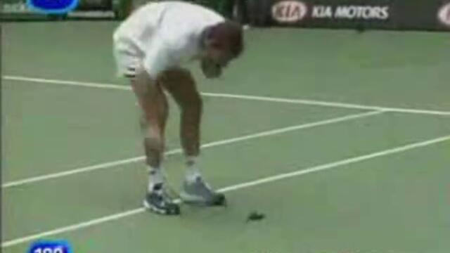 Тенесист Удря Врабче По Време На Игра