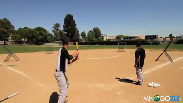 Господаря на батата