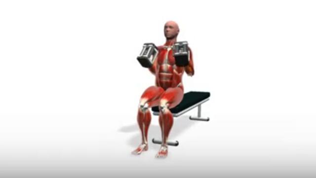 Exercise Videos- PowerBlock Hammer Curl -- Seated
