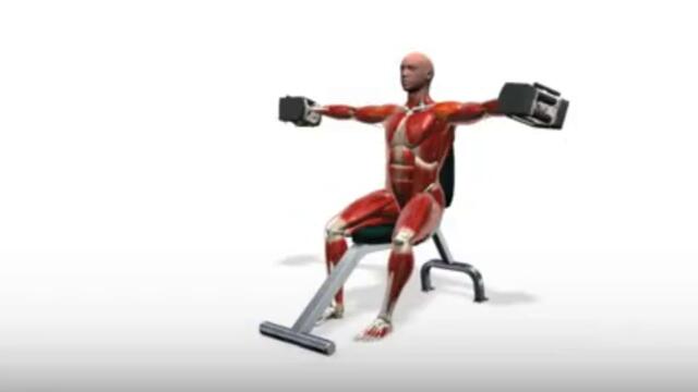 Exercise Videos- PowerBlock Lateral Raise -- Seated
