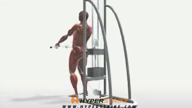 Exercise Videos- Cable Shoulder Flexion with Bar -- Standing