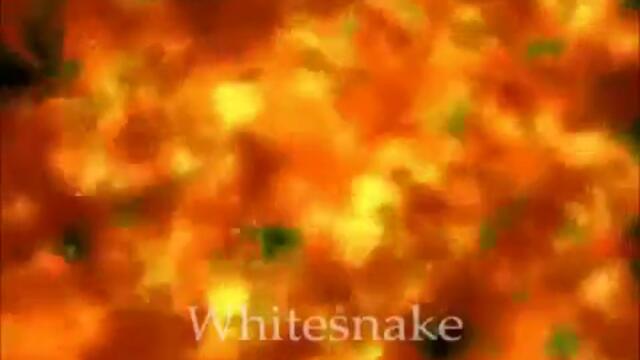 текст / Whitesnake - Forever more