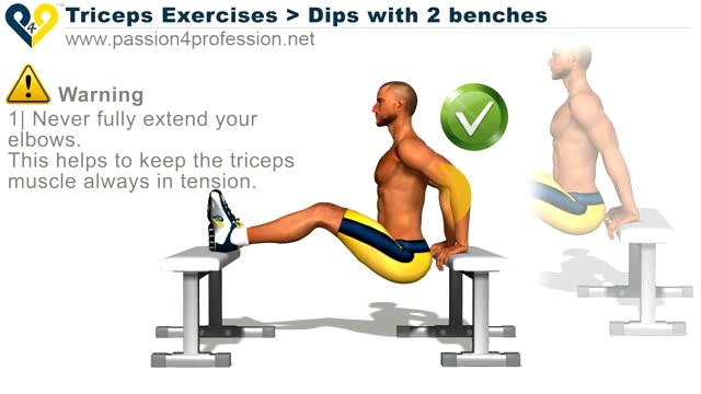Triceps Exercises _ dips 2 benches