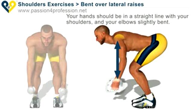 Bent over lateral raise