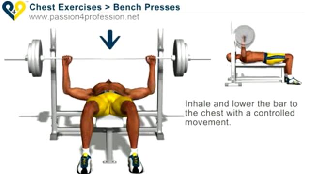 Chest exercises Bench Press