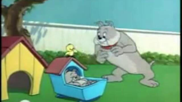 Tom and Jerry 5 (BG Parody)
