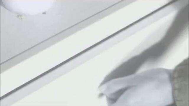 Flip And Fill - True Love Never Dies