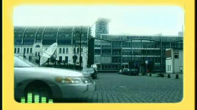 Royal Gigolos - California Dreaming