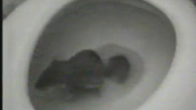 голям мишок