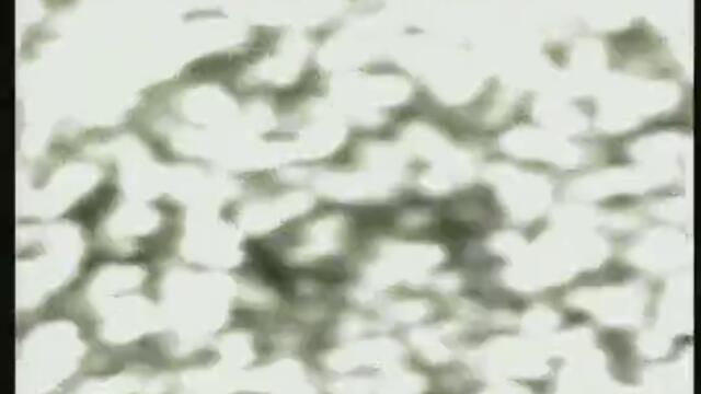 Urban Cookie Collective - The Key, The Secret (Remix) 1993