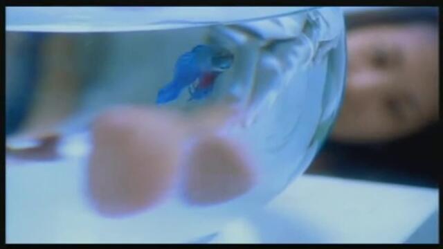 Watergate - Merry Christmas Mr. Lawrence