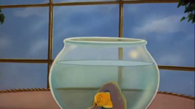Том и Джери - Jerry And The Goldfish