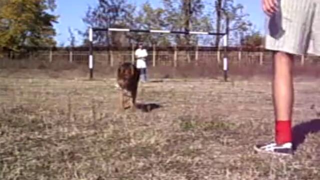 Страхотни голове и спасявания