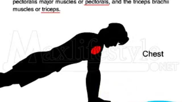 Kaк се правят лицеви опори