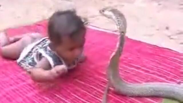 Изумително ! Такова нещо не сте виждали