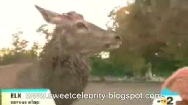 Най - смешния klip