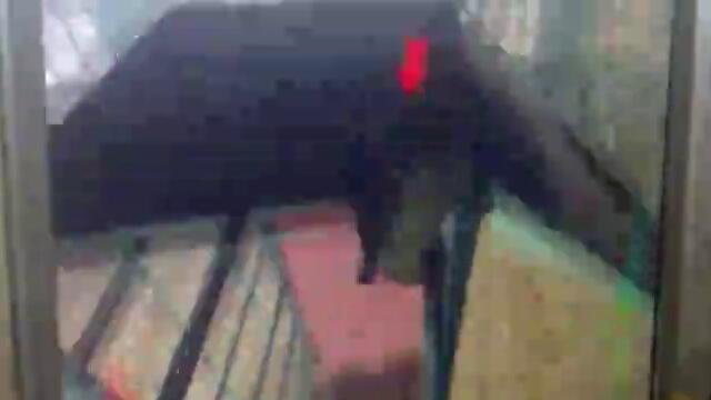 Free Runing Gameplay