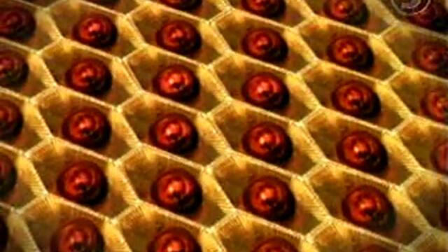 Oggy And The Cockroaches - Bitter Chocolate