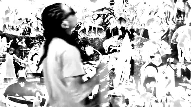 Lil Wayne feat. Gucci Mane - We be steady mobbin'