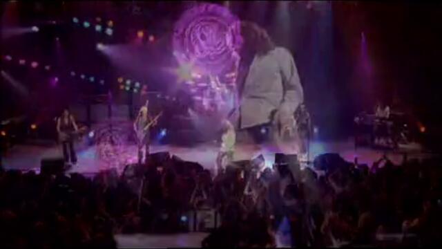 Whitesnake - Don't Break My Heart Again (Live...In The Still Of The Night)