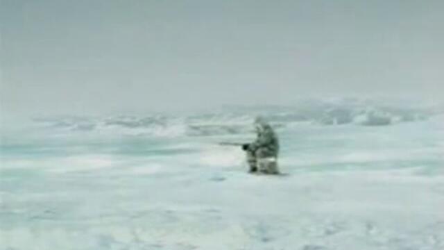 Атака На Косатка