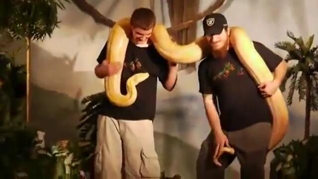 Опаа .. Видя му се питоня .. хаха