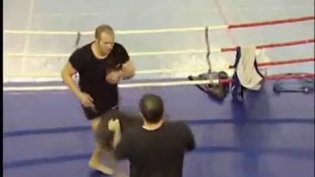 Fedor training