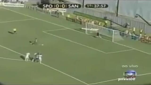 Neymar 2011 - Goals &amp; Skills - Santos