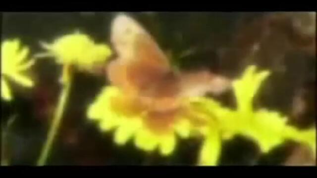 Страхотни Български Футболни Моменти!