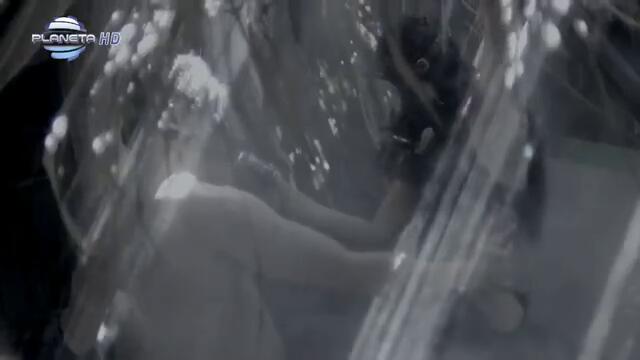 Камелия - Изпий ме цялата (Официално Видео)