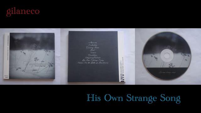 Vergissmeinnicht - 2011 - His Own Strange Songs - 08. His Own Strange Song