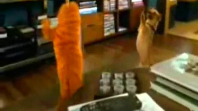 Гарфиелд играе кючек