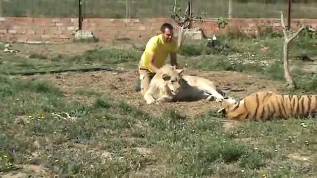 Истинско приятелство!