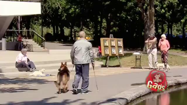 Кучето на слепеца - Скрита камера