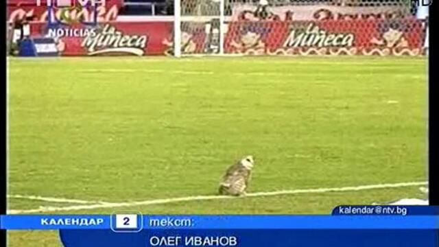 Футболист уби сова пред пълен стадион ! ( Забранено за хора със слаби сърца ! )