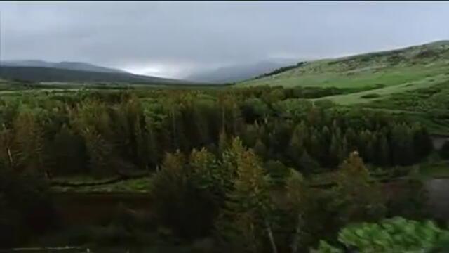 1 000 години след хората!