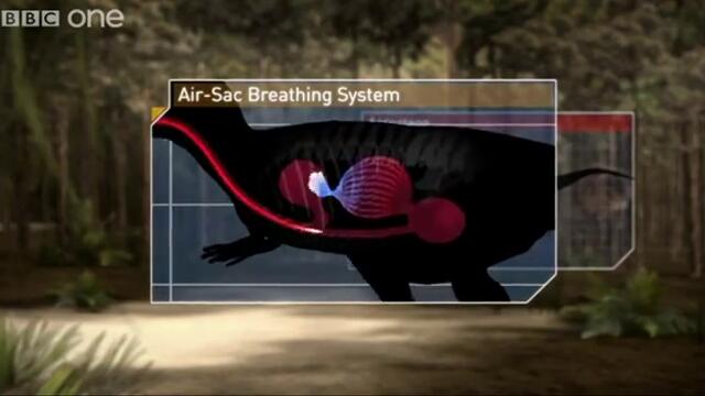 Планетата На Динозаврите - Дихателна Система