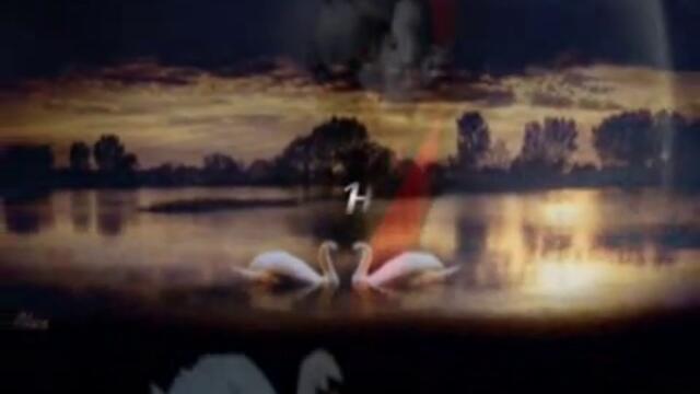 Et Si Tu Nexistais Pas - Joe Dassin (превод)