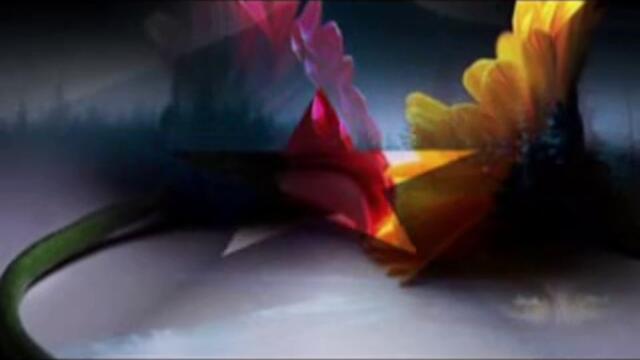 Viva Forevar - Spice girls (превод)