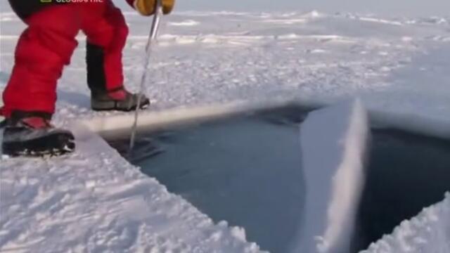 Красотата под полярниа лед (бг аудио)