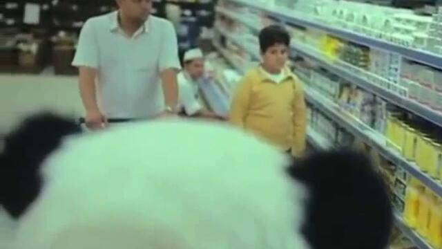 Никога не казвай не на панда