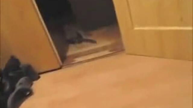 Незабравимо видео !!! Гледайте