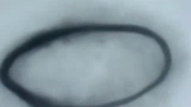 Пръстен От Пушек - Природен Феномен