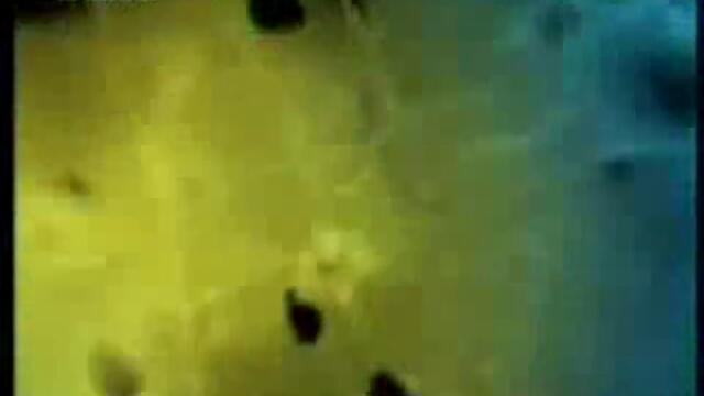 Изпитай мозъка си: Няма да повярваш на очите си