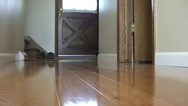 Сладко котенце се плаши от мишка